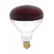 Westinghouse Westinghouse 250 W R40 Reflector/Heat Lamp Incandescent Bulb E26 (Medium) Red 1 pk 03917 - alternate 1